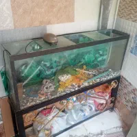 آکواریم با وسایل