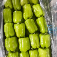 قبول انواع سفارش میوه وتره بار|خدمات پذیرایی، مراسم|کرمان, |دیوار