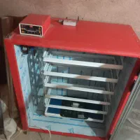 دستگاه جوجه کشی معاوضه با گوسفند بز