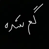 مدارک گم شده به اسم قاسم نژاد