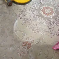 مبل شویی و فرش شویی (طلاشور)