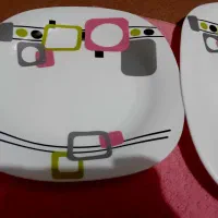 پلوخوری و دیس آرکوپال