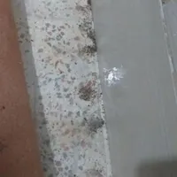 با حشرات موذی خانگی خدافظی کن
