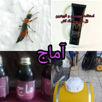 سمپاشی منازل سم پاش منزل سوسک موش ساس کنه کک حشرات|خدمات نظافت|نسیم‌شهر, |دیوار