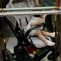 کالسکه مبله برند جویی