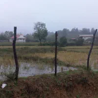 فروش ۳۰۰ متر با پروانه ساخت ۱۰۰م روستای جنبه سرا|فروش زمین و ملک کلنگی|پره‌سر, |دیوار