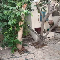 اجاره روزانه اتاق در هرمز|اجارهٔ کوتاه‌مدت آپارتمان و سوئیت|هرمز, |دیوار