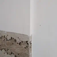 کچ کار