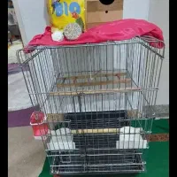 قفس پرندگان