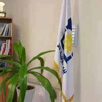 تیم فروش بیمه پاسارگاد
