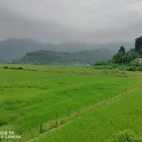 اجاره ی روزانه ویلا نوساز