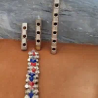 کلکتورهمراه باشیر