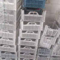 سبد میوه وکیسه