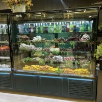 یخچال مخصوص پروتئینی ویترینی|فروشگاه و مغازه|مشهد, فدک|دیوار