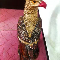 مجسمه گچی|مجسمه، تندیس، ماکت|شیراز, شهرک گلستان|دیوار