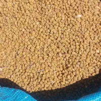 خریدار نخود زرد لپه|فعالیت داوطلبانه|قیدار, |دیوار