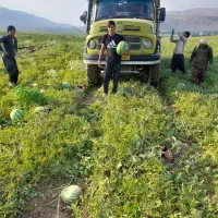 بنز تک مدل۵۶