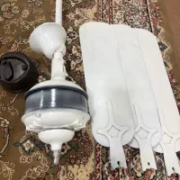 پنکه انگلیسی سالم