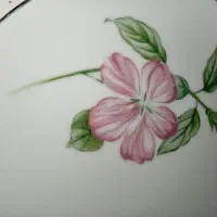 ظروف قدیمی آنتیک|ظروف سرو و پذیرایی|صدرا-فارس, فاز ۲|دیوار