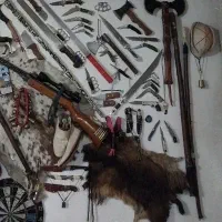 چندعددچاقومعاوضه میکنم باطوطی برزیل مینادستی پرنده