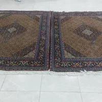 فرش طبیعی ۶ متری|فرش|اردبیل, |دیوار
