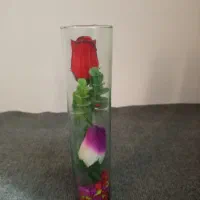 گل سبدآبی،گل نامزدی،گل شیشه ایی