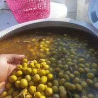 زیتون کنسروی