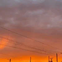 نیازمند کار ثابت