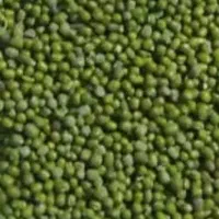 فروش مقداری ماش بصورت عمده