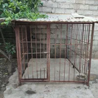 قفس سگ|لوازم جانبی حیوانات|شلمان, |دیوار