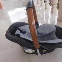 کریر کالسکه و روروئک دلیجان