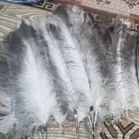 پر علامت ‌وچهل چراغ