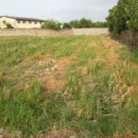 1840مترزمین کشاورزی سنددار(داخل بافت روستا )|فروش زمین و ملک کلنگی|زرگرشهر, |دیوار