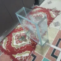 اکواریم