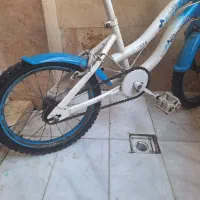 دوچرخه|دوچرخه، اسکیت، اسکوتر|ری, علایین|دیوار
