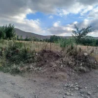 زمین کشاورزی کلوانس|فروش زمین و ملک کلنگی|صفائیه, |دیوار