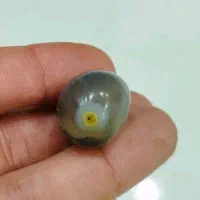 مهره باباقوری