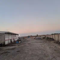 زمین خالی برای اجاره وردی شهربغل کارخانه قزل وش