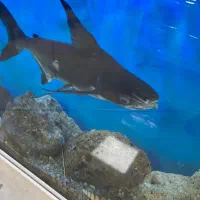 اکواریوم با تجهزیزات کامل