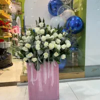 تشریفات نامزدی باکسگل/کیک/خنچه/