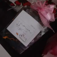 شانسی آرایشی با آپشن های فوق کاربردی|آرایشی، بهداشتی، درمانی|پیرانشهر, |دیوار