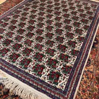 قالی دستباف گل سرخ اسفندقه|فرش|کرمان, |دیوار