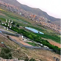 فروش ۱۰۰۰ متری در شهرک گلستان|فروش دفتر صنعتی، کشاورزی، تجاری|شیراز, شهرک گلستان|دیوار