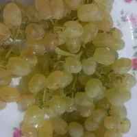 انگور عسگری
