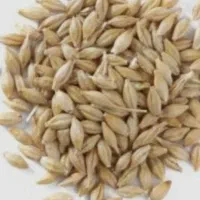 دو گونی جو تیم کیلو ۶۵