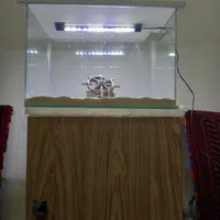 آکواریوم شیشه خم