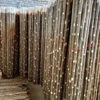 دسته بیل . فرغون