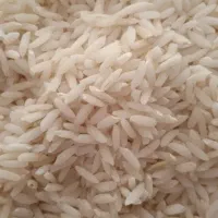 برنج محلی علی کاظمی