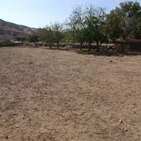 1500متر زمین کشاورزی،کرمجگان