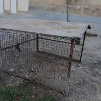 قفس بزرگ|لوازم جانبی حیوانات|کازرون, |دیوار